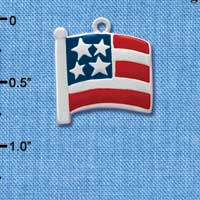 C1002 - Flag Usa - Silver Charm