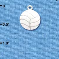 C1069 - Volleyball - Silver Charm