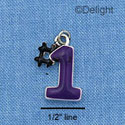 C1078 - #1 - Purple - Silver Charm