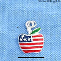 C1192 - Apple - Usa - Silver Charm Mini