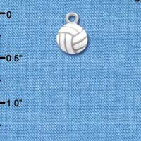 C1312 - Volleyball - - Silver Charm Mini