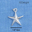 C1435* - Star - Raised - Silver Charm