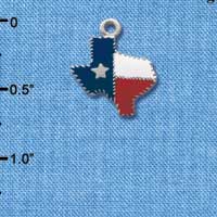 C1461 - Texas - Fancy Edging - Silver Charm