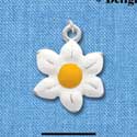 C1591 - Flower - Daisy White - Silver Charm