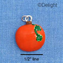 C1795 - Pumpkin - - Silver Charm