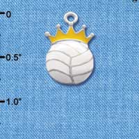 C1970 - Volleyball - Crown - Silver Charm