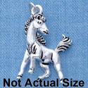 C2039* - Mascot - Mustang - Silver Charm