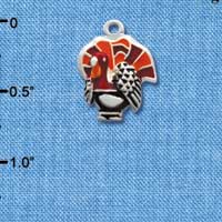 C2118 - Turkey Silver Charm