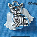 C2217 - Cat Angel - Silver Charm