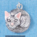 C2220 - Curled Up Cat - Silver Charm