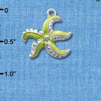 C2425 - Starfish - Green - Silver Charm