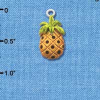 C2531 - Pineapple - Silver Charm