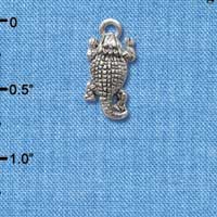 C2598 - Horn Toad - Silver Charm