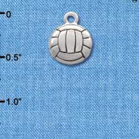 C2893+ - Silver Volleyball - 2 Sided - Silver Charm