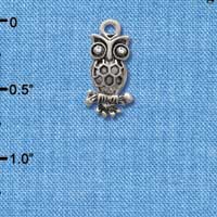 C2895 - Antiqued Silver Owl with Clear Swarovski Crystal Eyes - Silver Charm