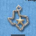 C3030 - Open Texas with Rope Border and Gold Star - Silver Charm