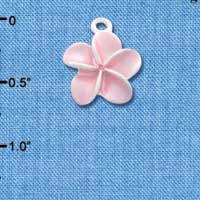 C3260 - Pearl Pink Plumeria Flower - Silver Charm