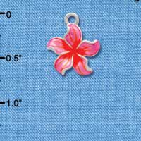 C3572 tlf - Hot Pink and Orange Plumeria Flower - Silver Charm