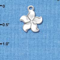 C3574 tlf - White Plumeria Flower - Silver Charm