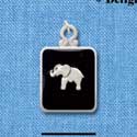 C3819 tlf - Elephant on Black Pendant with Silver Frame - Silver Pendant