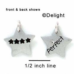 N1045 - Perfect & Four Stars - Silver Resin Charm