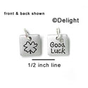 N1005 - Good Luck & Four Leaf Clover - Silver Resin Charm